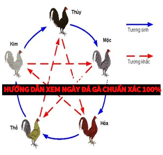 Hướng dẫn xem ngày đá gà chuẩn xác 100%